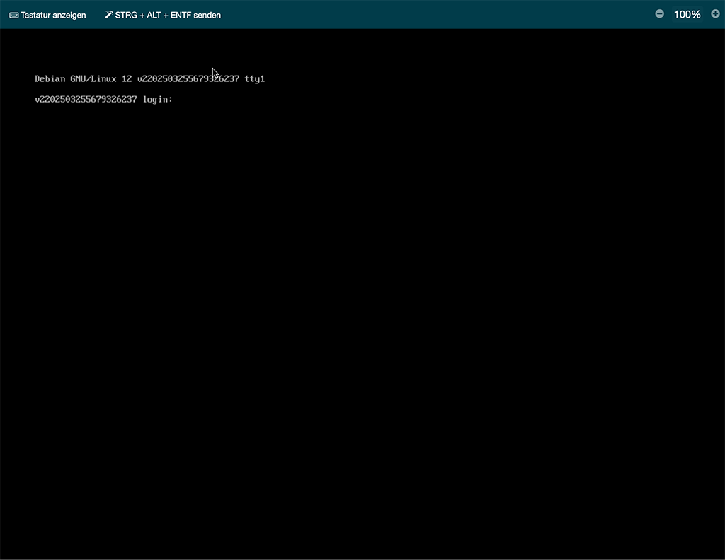 Server control panel VNC Konsole